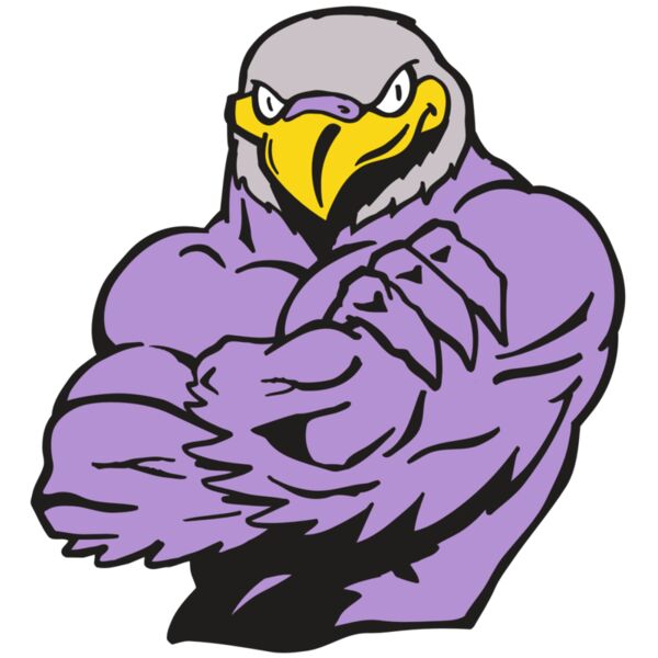 AR FALCON 32 RC Thumbnail