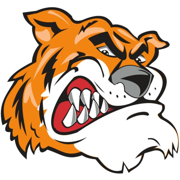 TIGER HD0503 RQC Thumbnail